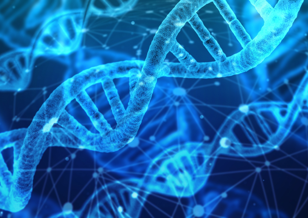 Untitled-design-uai-1032x730.png Untitled-design-uai-1032x730.png